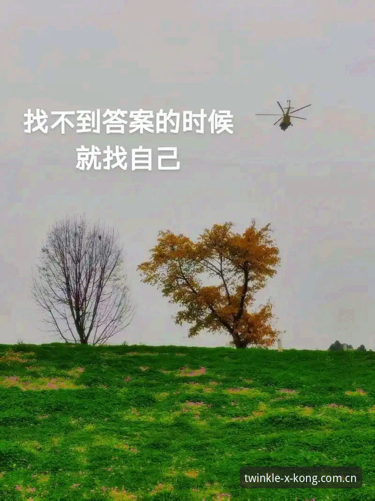 XINGKONG赛事数据哪个好 揭秘星空体育数据池:为什么你找不到唯一的标准答案